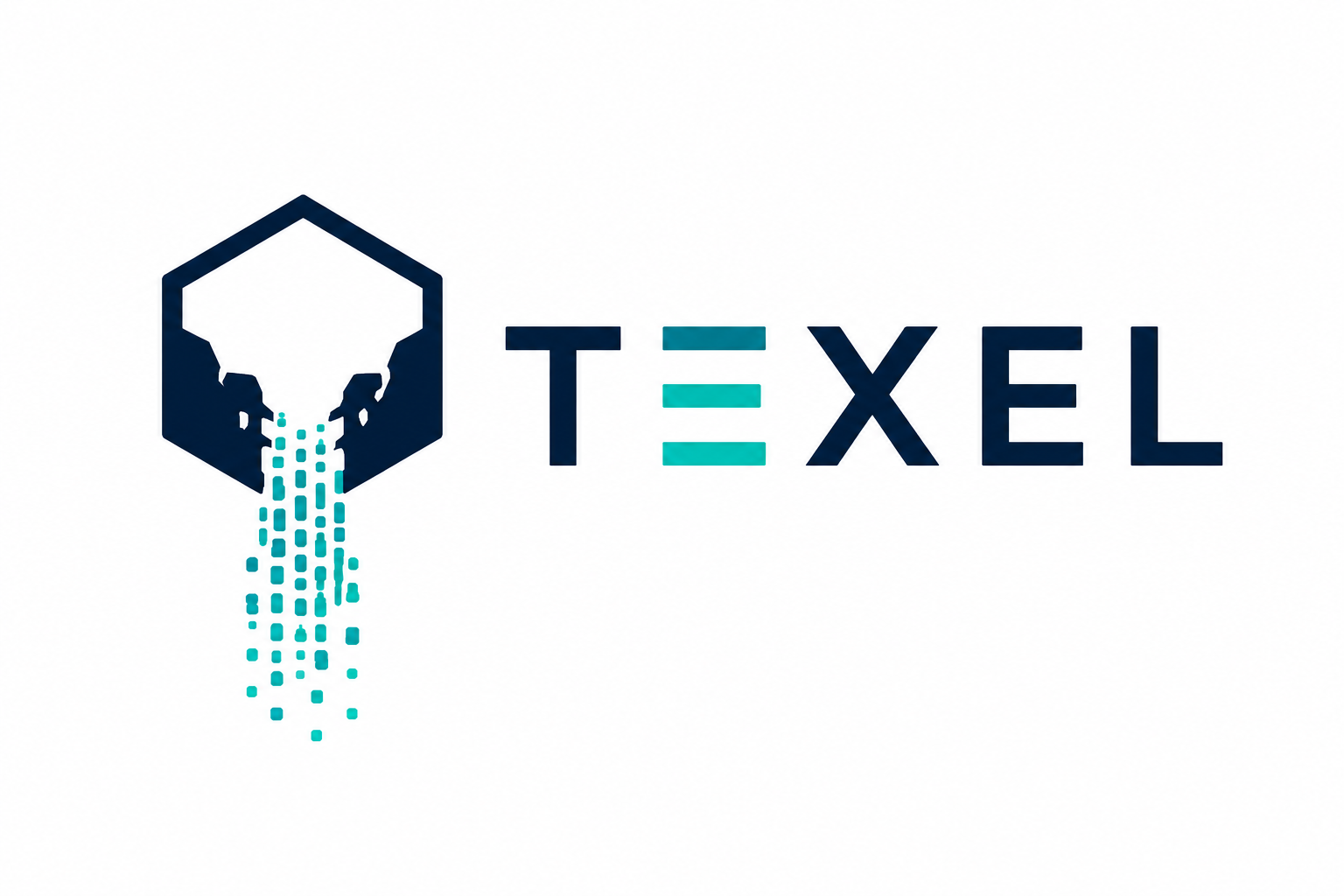Texel